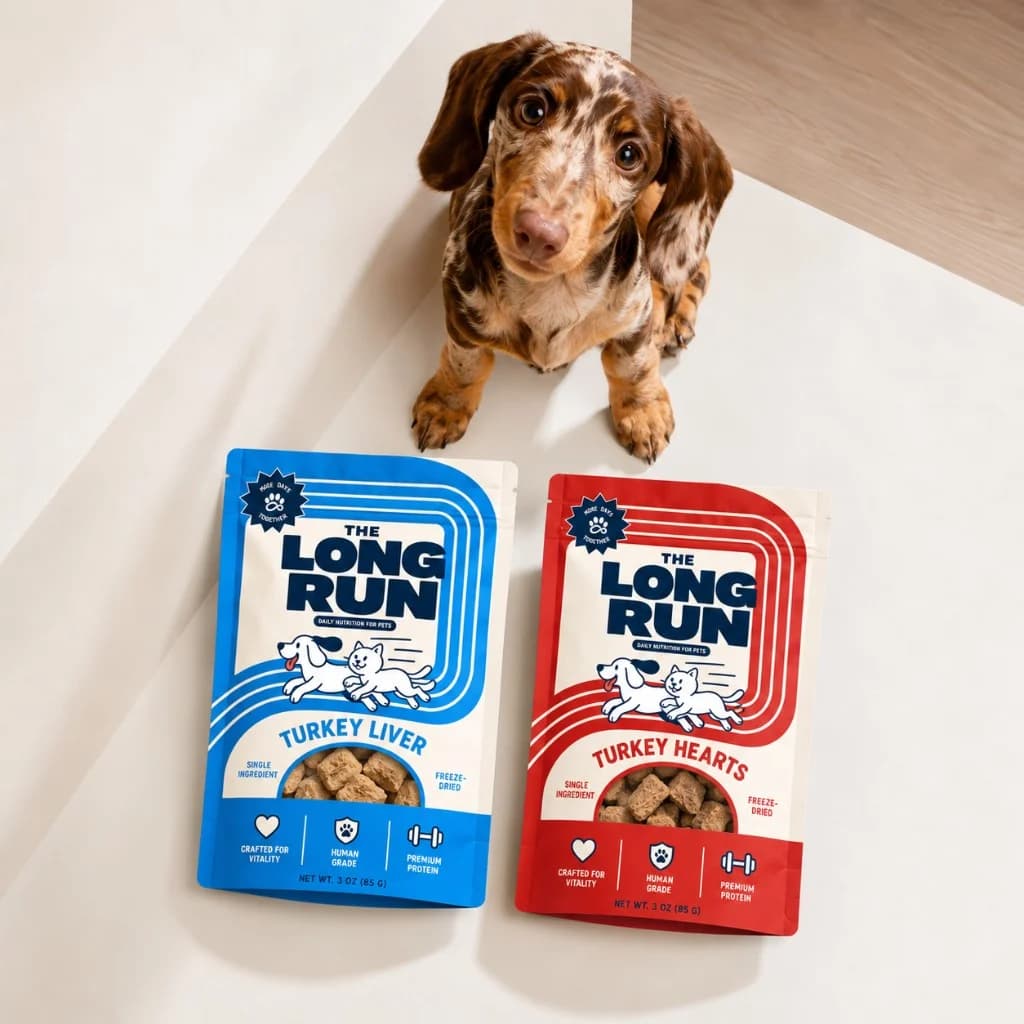 Overhead of a dachshund puppy with The Long Run Turkey Liver and Turkey Hearts pouches