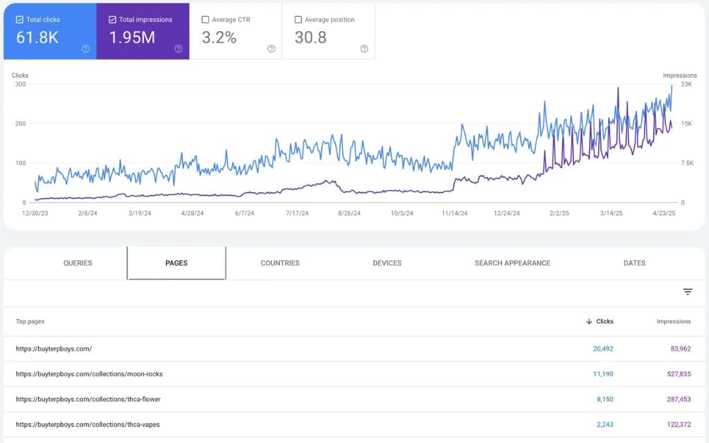buyterpboys.com · Google Search Console: 61.8K clics